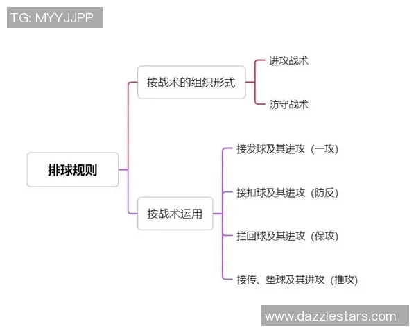 深入分析杭州排球队的节奏打法与战术特点及其对比赛的影响