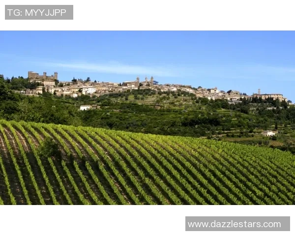 葡萄牙与新西兰精彩对决回顾及赛后分析全景呈现